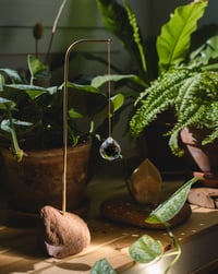 Image 8 of Atrapaluces Tierra