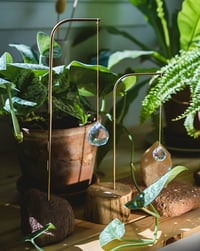 Image 3 of Atrapaluces Tierra