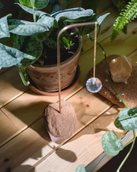 Image 11 of Atrapaluces Tierra