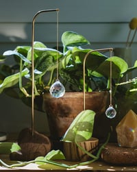 Image 10 of Atrapaluces Tierra