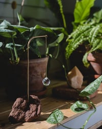 Image 1 of Atrapaluces Tierra