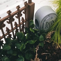 Image 4 of FHOS - Graveyard 