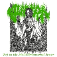 SOLARCRYPT Rot in the Multidimensional Sewer CD