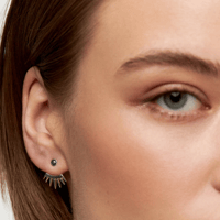 Image 3 of Stella Aeterna