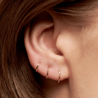 Image 1 of Rosa Tristis