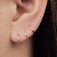 Image 3 of Rosa Tristis