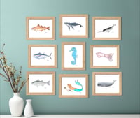 Image 2 of Narwhal, 2022 (Print)
