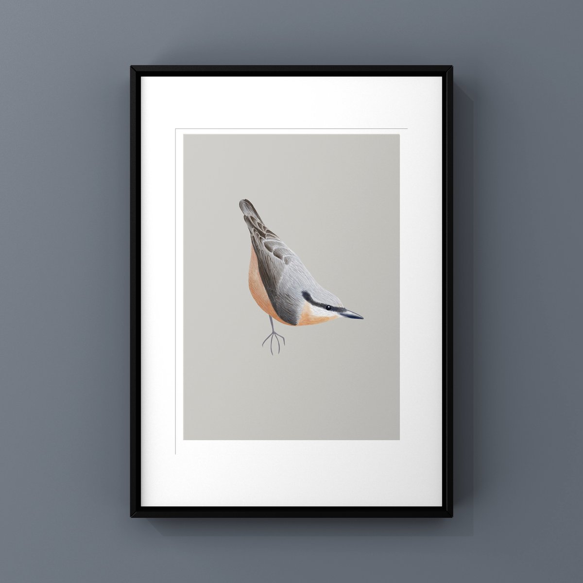 Nuthatch Print & Card