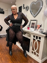 Image 2 of Black Cat 