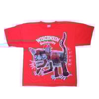 wiscat 