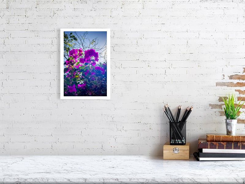 Image of Following the Quiet, Jinja