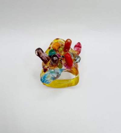 Image of sea creature 01 ring 