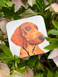 Image 2 of Dachsund coaster