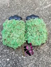 Lux Slide/Bubble shoes