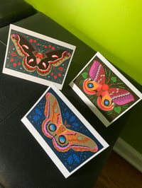 Image 1 of Moth Greeting Card Set