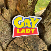 Image 2 of gay lady