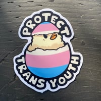 Image 1 of protect trans youth