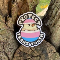 Image 2 of antifa starter pack