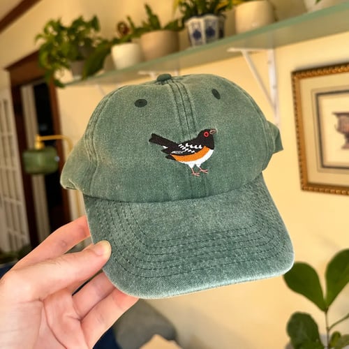 Image of Spotted Towhee Hat