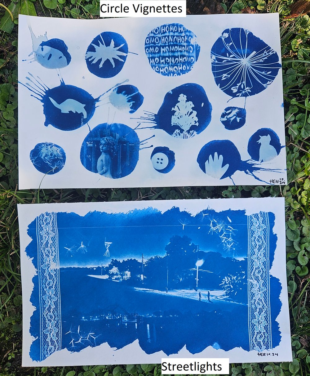 Image of Medium Cyanotype Prints