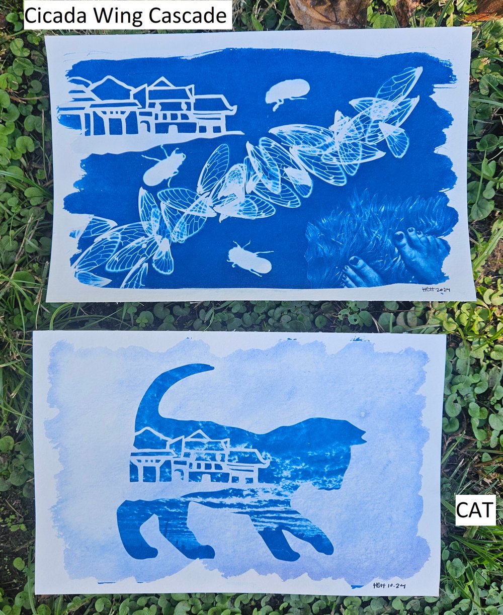 Image of Medium Cyanotype Prints