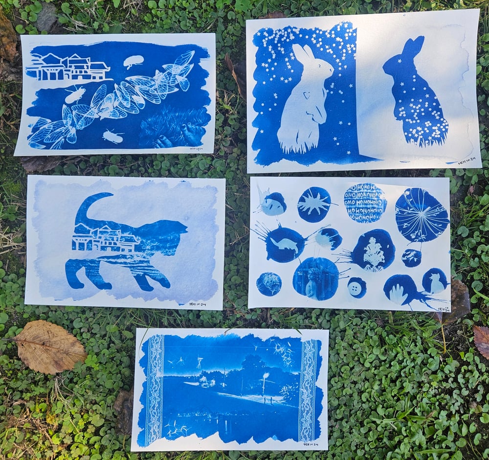 Image of Medium Cyanotype Prints