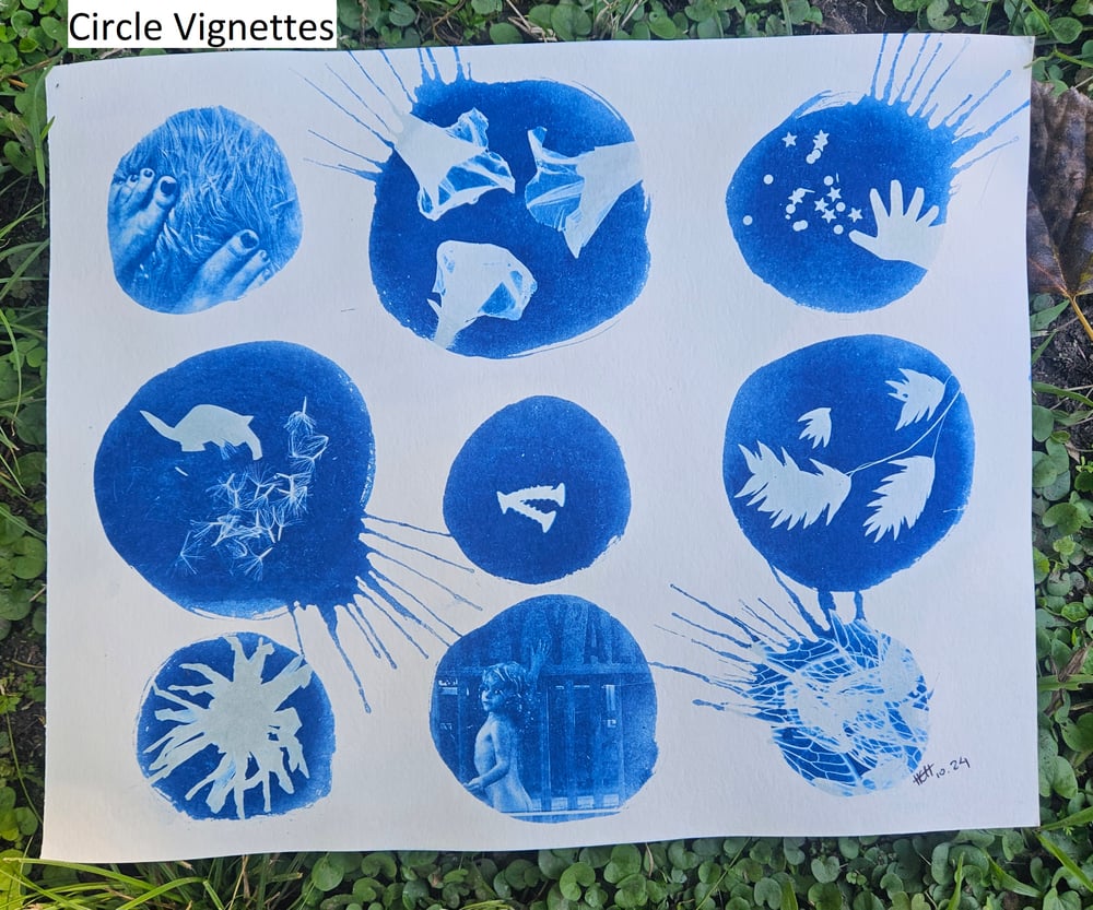 Image of Large Cyanotype Prints