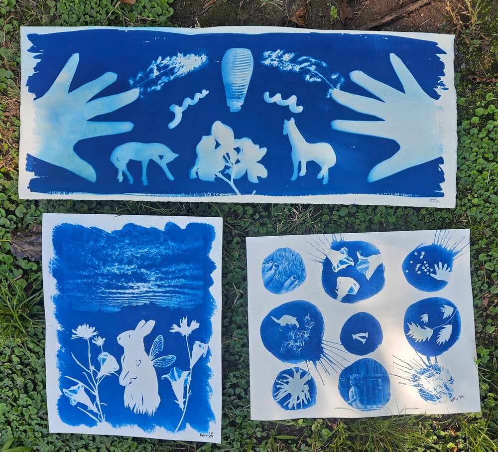 Image of Large Cyanotype Prints