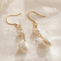 Image 1 of Hercules Fortis