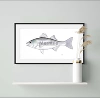 Image 1 of Biggie Striped Bass, 2023 (Print)