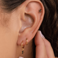 Image 3 of Stella Maris