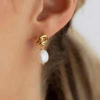 Image 2 of Cerberus Roma