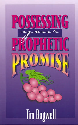 Image of Possessing Your Prophetic Promise