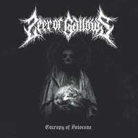 Image 1 of SEER OF GALLOWS (SWE) - "Entropy of Holocene" LP