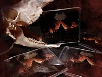 Image 2 of SHADOWS GROUND (UKR) - "Wanderer" CD