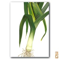 Leek Print