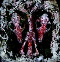 Image 1 of INSTINCT (UK) - "An Auroral Gathering of Skulls" CD