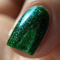 Image 8 of Wicked Witch Of The West