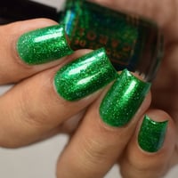 Image 18 of Wicked Witch Of The West