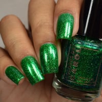 Image 19 of Wicked Witch Of The West