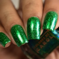 Image 5 of Wicked Witch Of The West