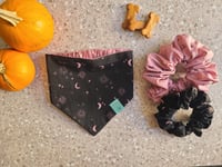 Image 1 of zuri espooky reversible set