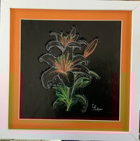 Lilly