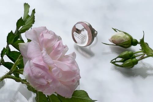 Image of "One might doubt.." silver ring with rose plexiglass · АMBIGERES RAPERENTE.. ·