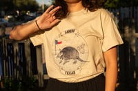 Laredo Texas Armadillo