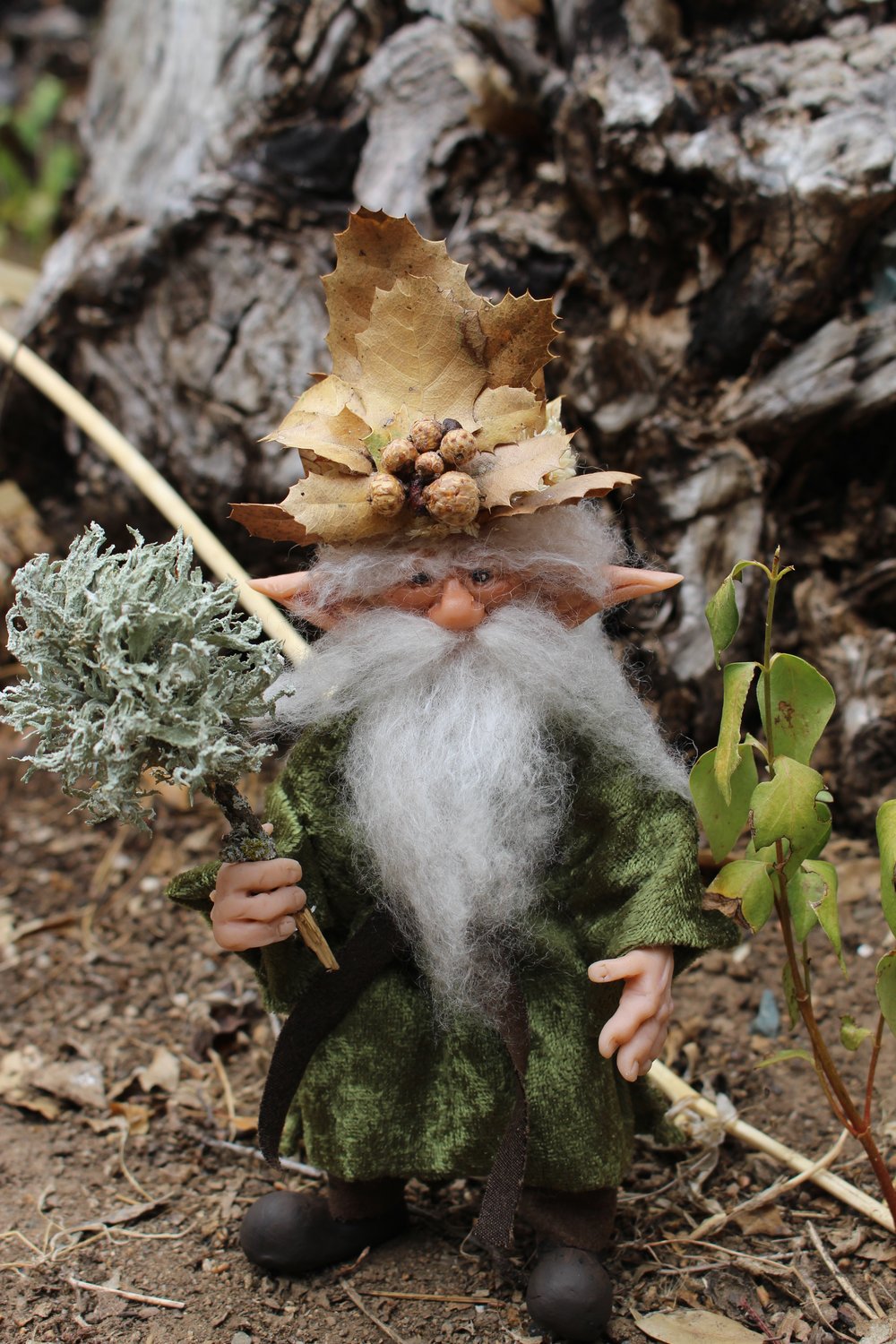 Image of Spirit of the Oaks Gnome