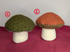 Big Mushroom