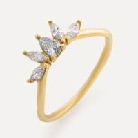Image 1 of Velvet Spark