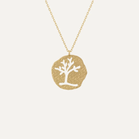 Image 1 of Celestial Charm