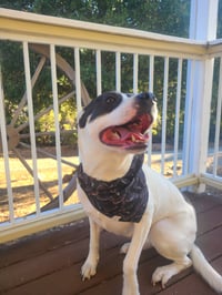 Image 2 of moonshine espooky bandana